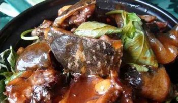 <b>三杯甲鱼培训地址在哪里</b>